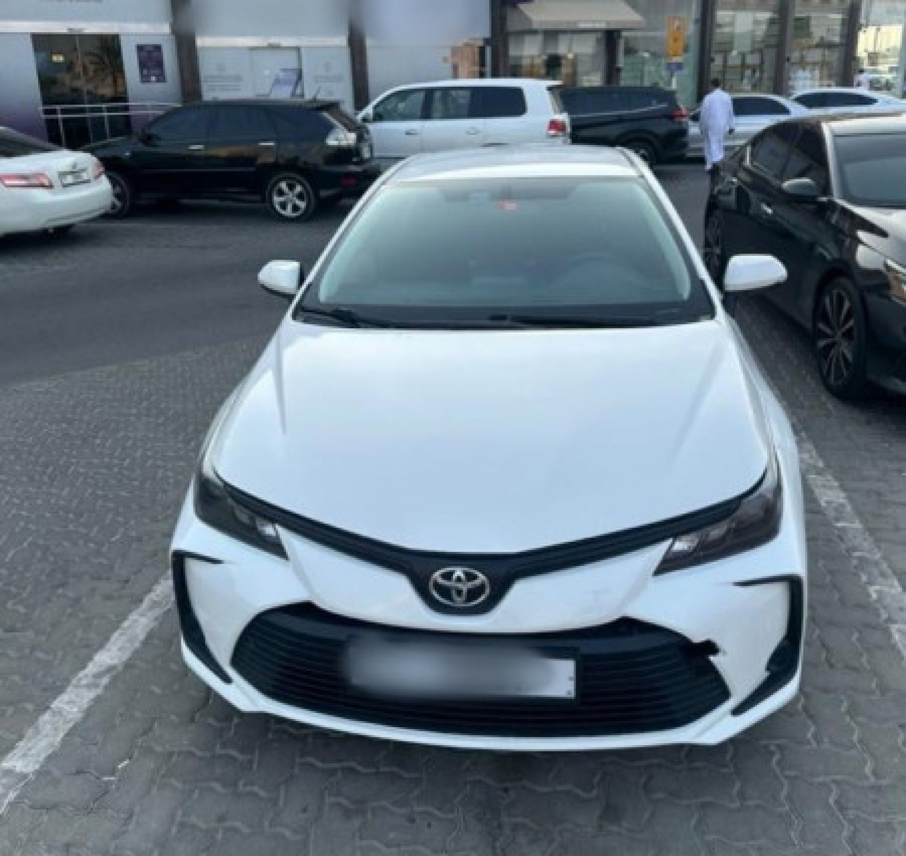 TOYOTA COROLLA